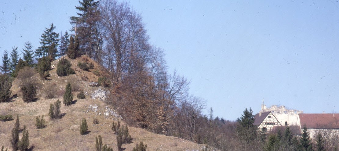 Ehem. Burg Weiler (Münzdorf), Germany